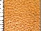 immagine relativa a 1262 - Pecary