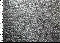 immagine relativa a 1360