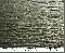 immagine relativa a 1580